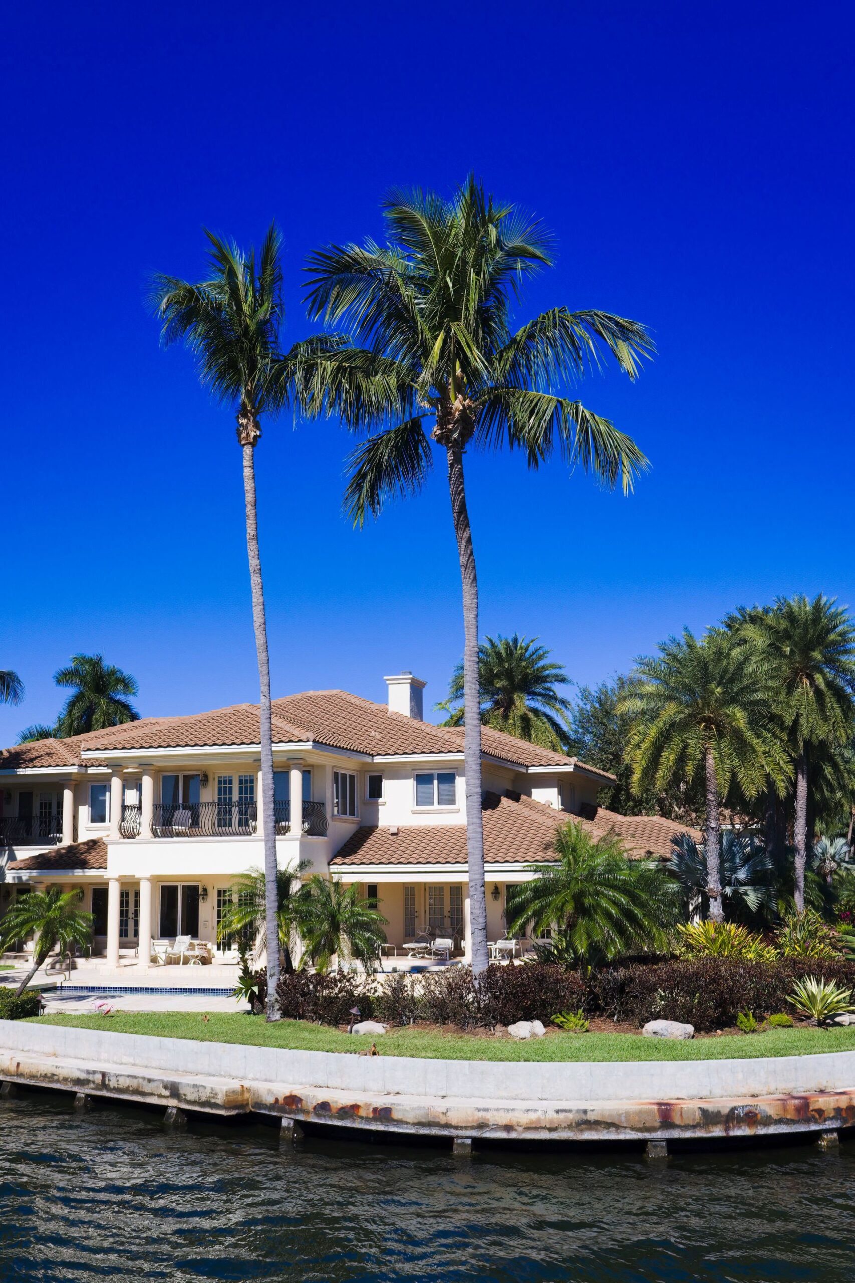 Tall trimmed palms at a Florida home